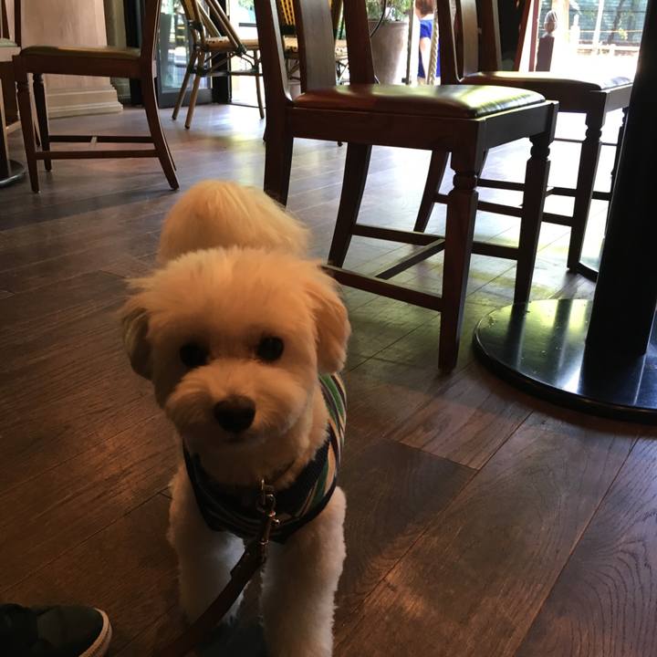 685f9b68 ee6a 4893 b2e8 e04108589c12 1569909525722