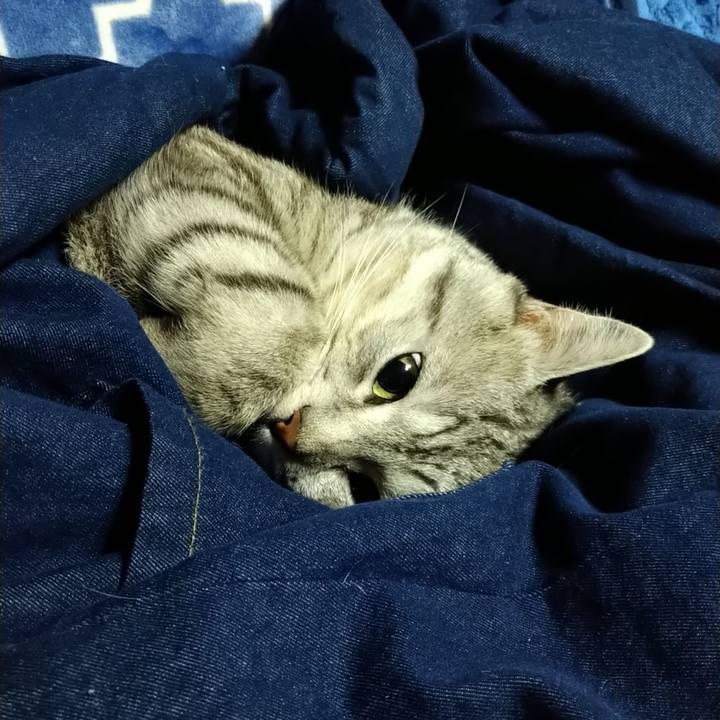 685f9cee 3d8a 4721 b0ad e0b4c0e90f22 1679156004772