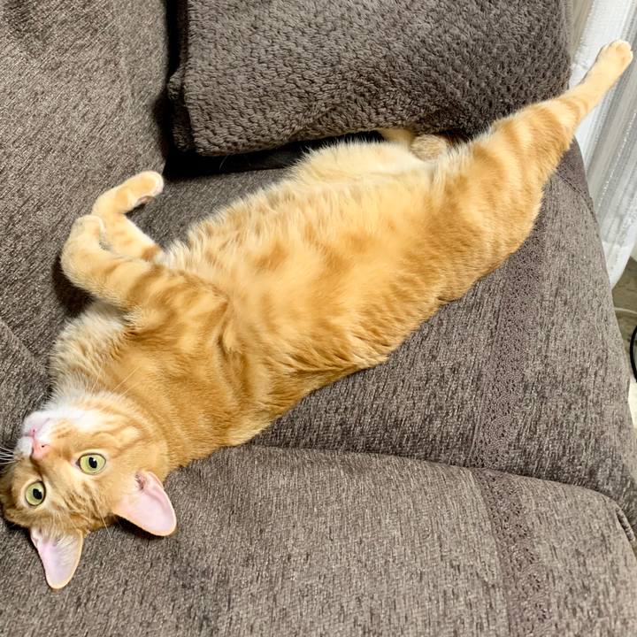 685fc26b 967f 4e8d 8b6f d521ee6986b9 1601849719321