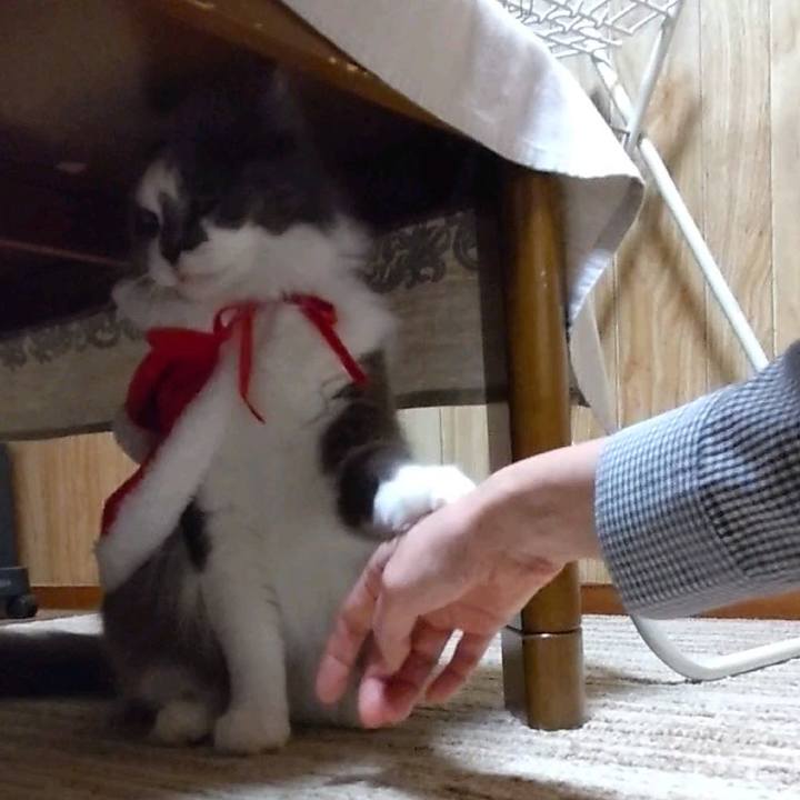 685fde93 46ca 49f3 9e18 c92211961896 1732608402340