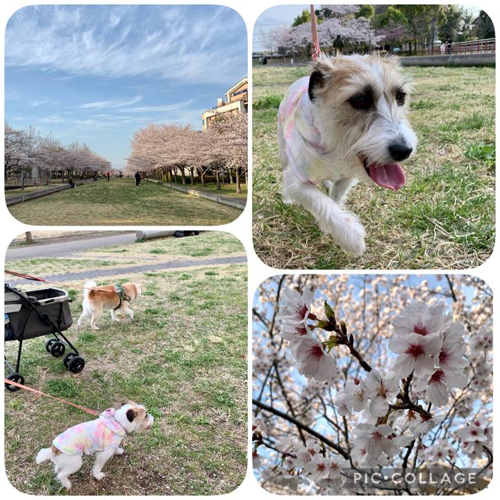 685feae6 808a 428d 8af9 128cc46989ba 1648903928079