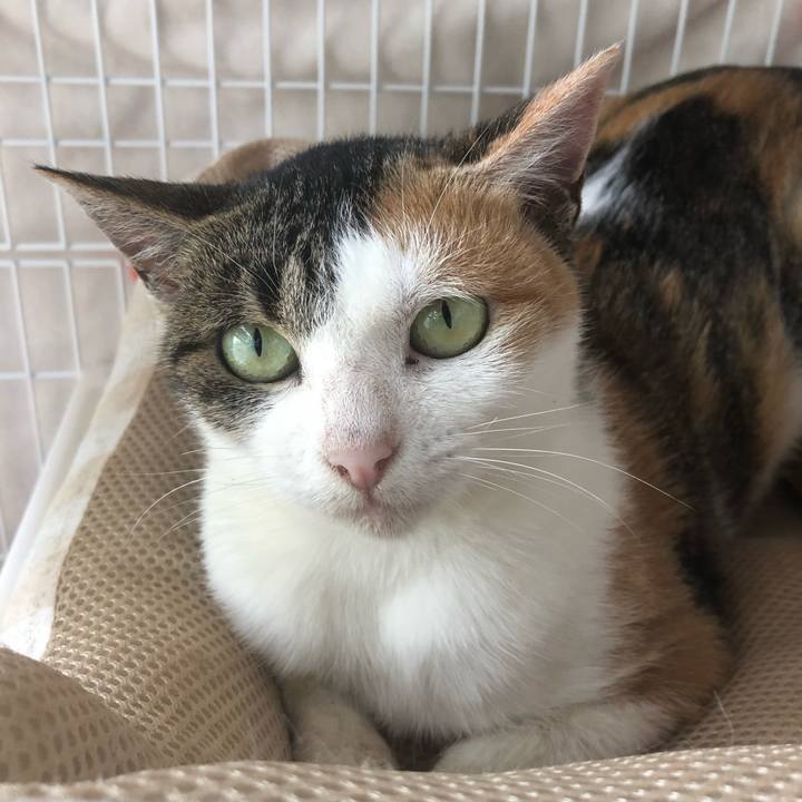 6860088e a9cf 4425 9d8c 50b800b5219a 1572316281937