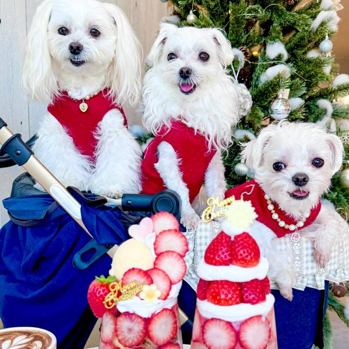 68602a57 7689 421f 8d01 26b164b1f404 1703333551095