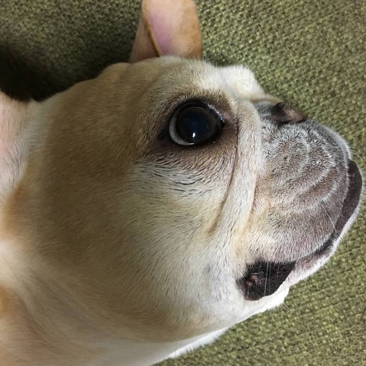 686038da 4e75 4cc9 b624 ab3cd8aeb3ec 1513001143541