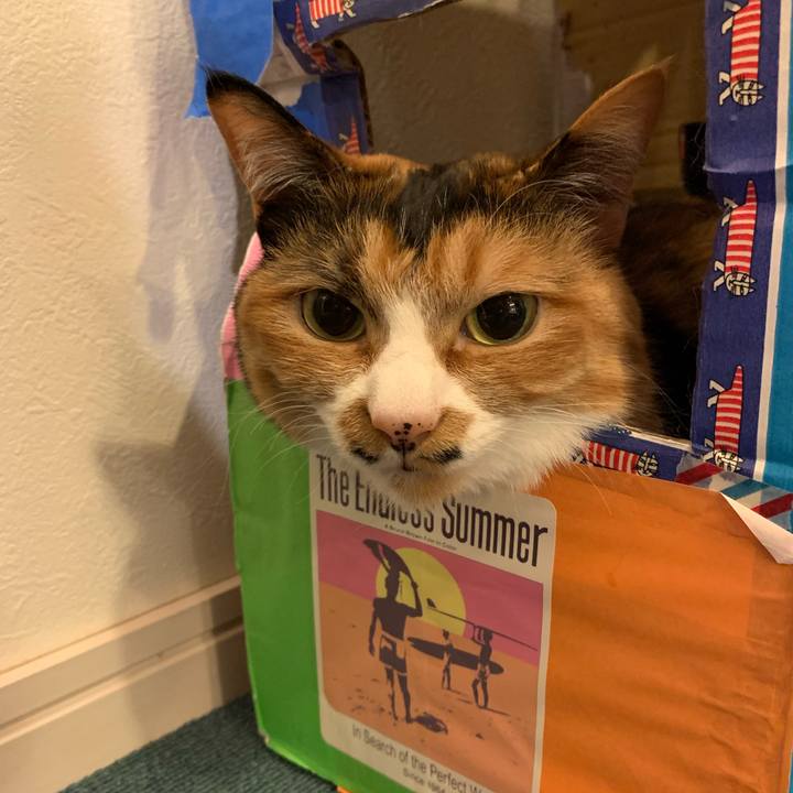 68604014 eb4a 4c92 9646 c7a72790d470 1700785156354