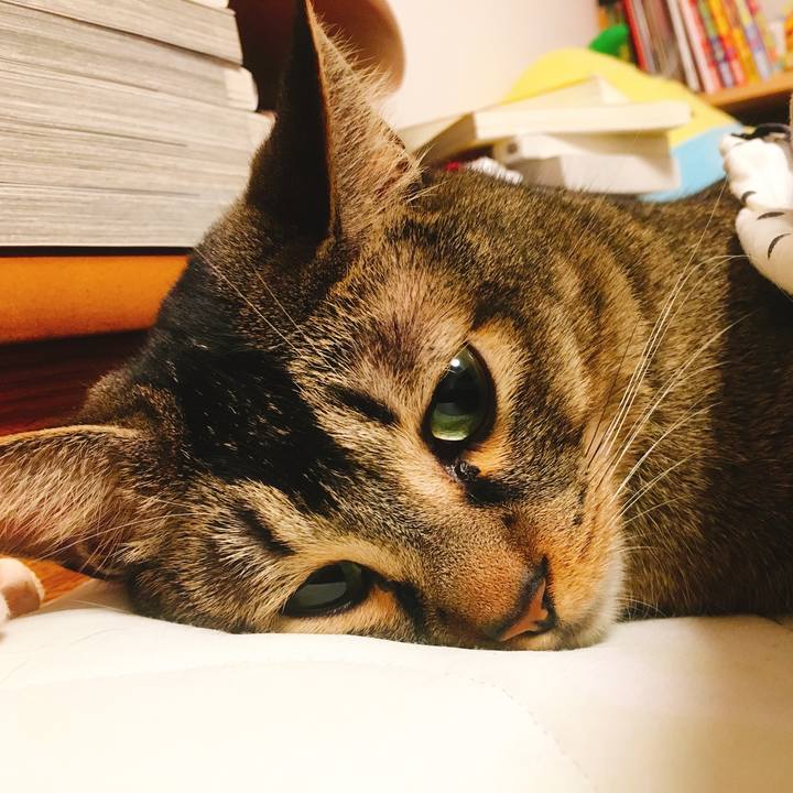 68607bf0 dec6 4c59 a17f b743c060cc36 1527067861384