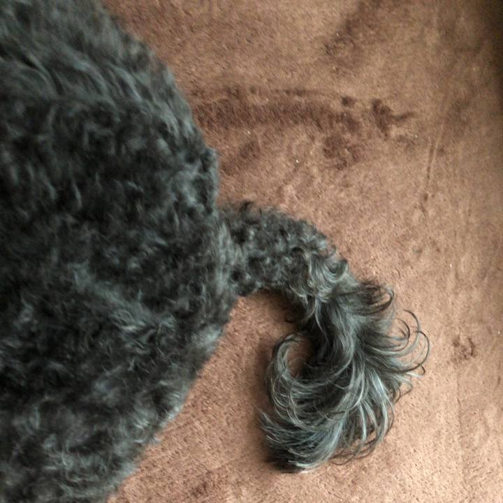 686087d8 5826 4b73 b1e0 73a6e3fbf393 1572139520932