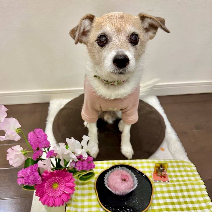 6860d58e 04e1 433c b14c 0d75bbfc6503 1709456406742