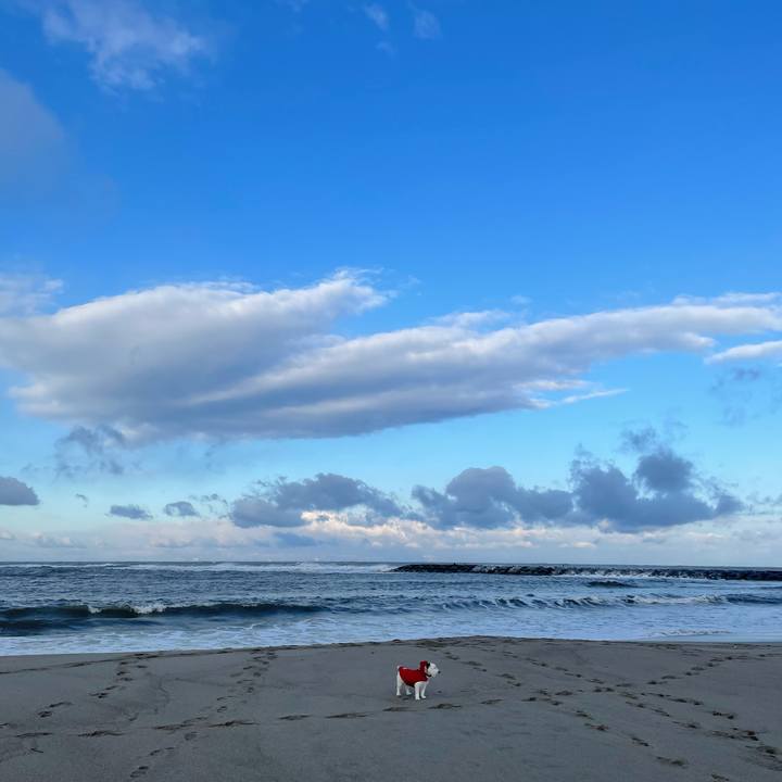 6861304c 144d 4998 8925 f40375dbf5db 1612911529219