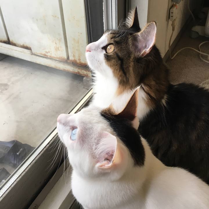 686138cc 73af 4b14 b455 f95cb0ce1884 1511313760488