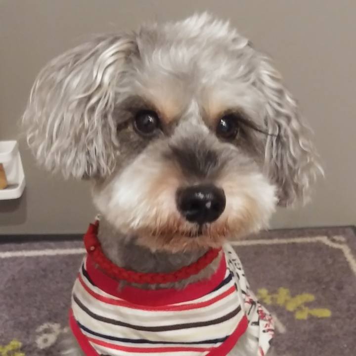 68616851 7ff0 4fd9 bb61 6c1991f0c58b 1665009029874