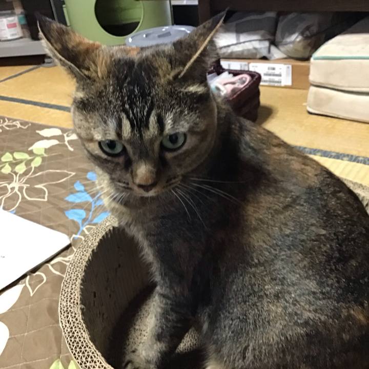 68619d99 c714 47d7 92e2 e81dca5455a8 1728096601501