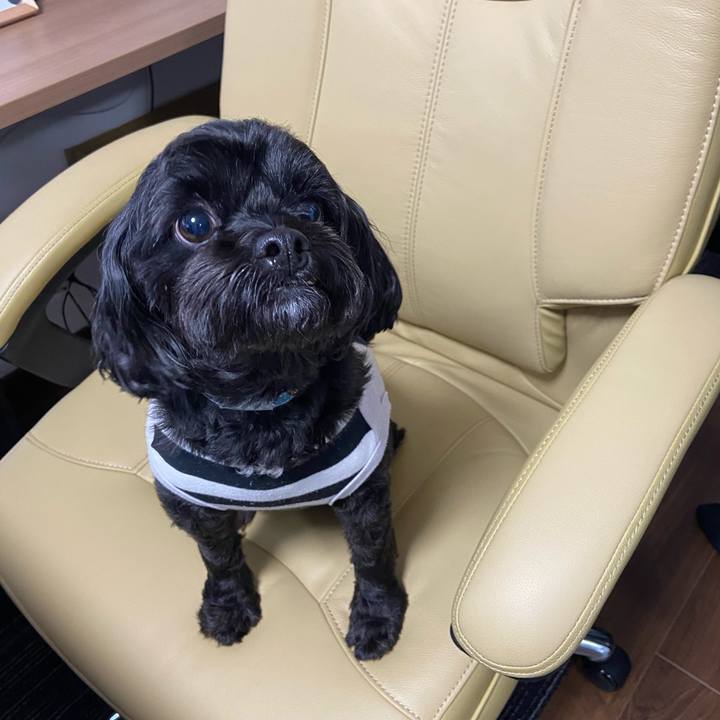 6861aff7 2b26 4de0 a1aa eb946634858e 1604326988637