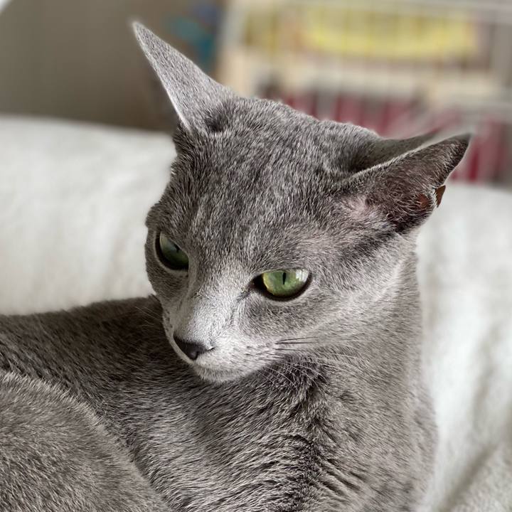 6861b62c 8039 45ad b71b 86075045abbf 1615517989133