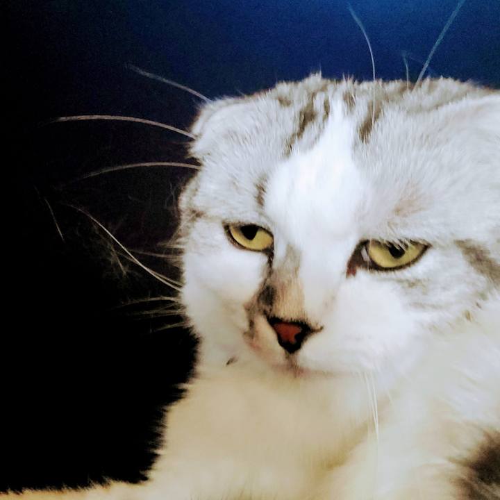 6861e510 3862 4112 a601 ba10b41d6422 1718269197623