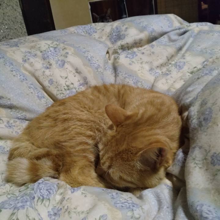 6861ed81 71b8 4a5b 8bb7 7e4878d85c40 1665058830943