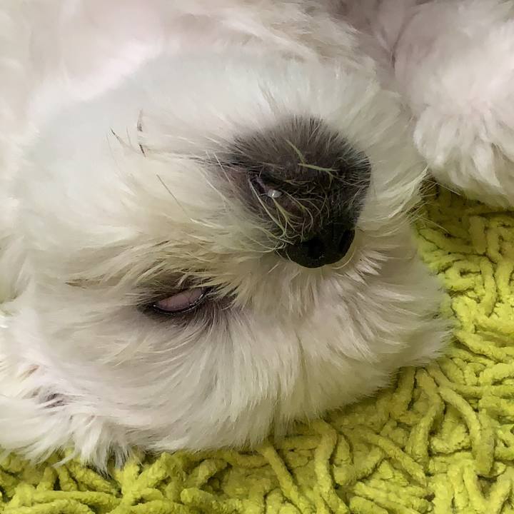 6861f8e6 bb67 4e1e aff5 c4b4c79c2366 1632060088271