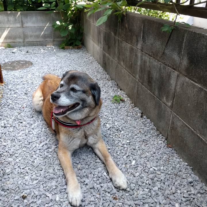 686209b4 2750 40e8 855f 719e03eac0ee 1726876047075