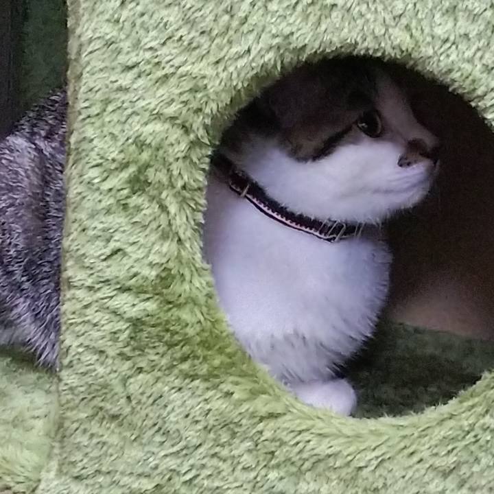 686219b8 9f97 453a 8f68 d91fe74b2f5a 1612784546525