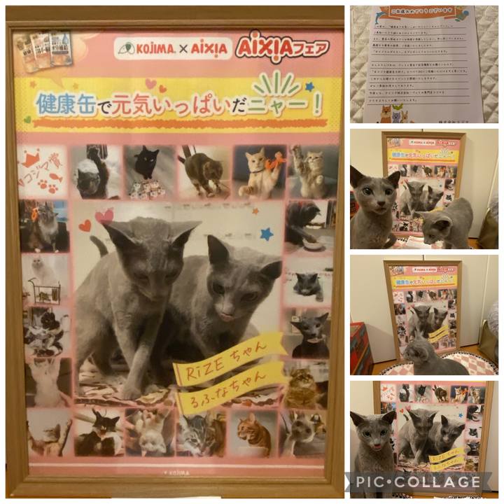 686259cf 19ef 4ecb bdf5 c360c337d019 1692183124502