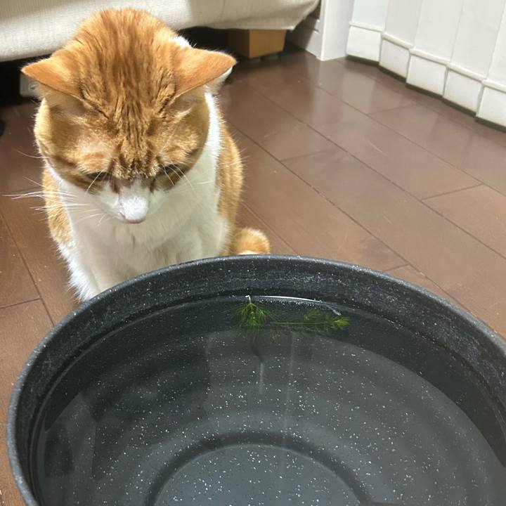 68626939 877b 4f7e 8fb8 6ad6512e8ecb 1773232587952