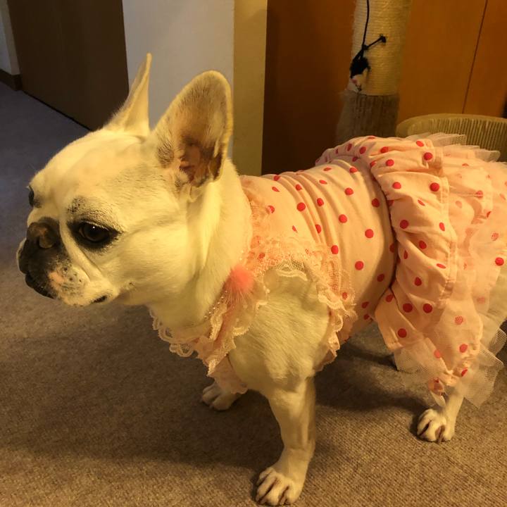 6862694d 4200 4243 89d8 4b9b38c56ade 1605956991715