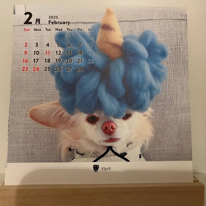 686269ac 881e 43a5 be49 73ec6a5e5fd9 1738417119945