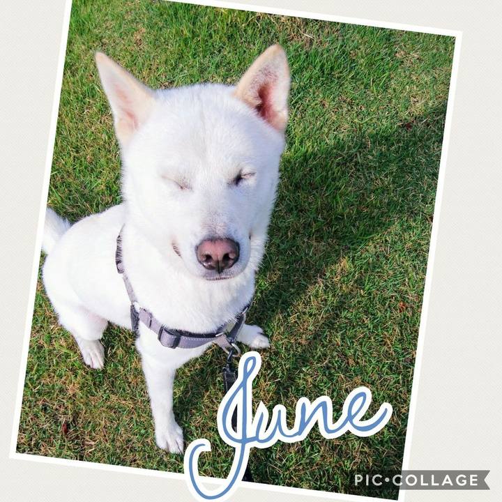 6862a785 9ab1 4d2c 9a73 bad65cde927c 1527825416831