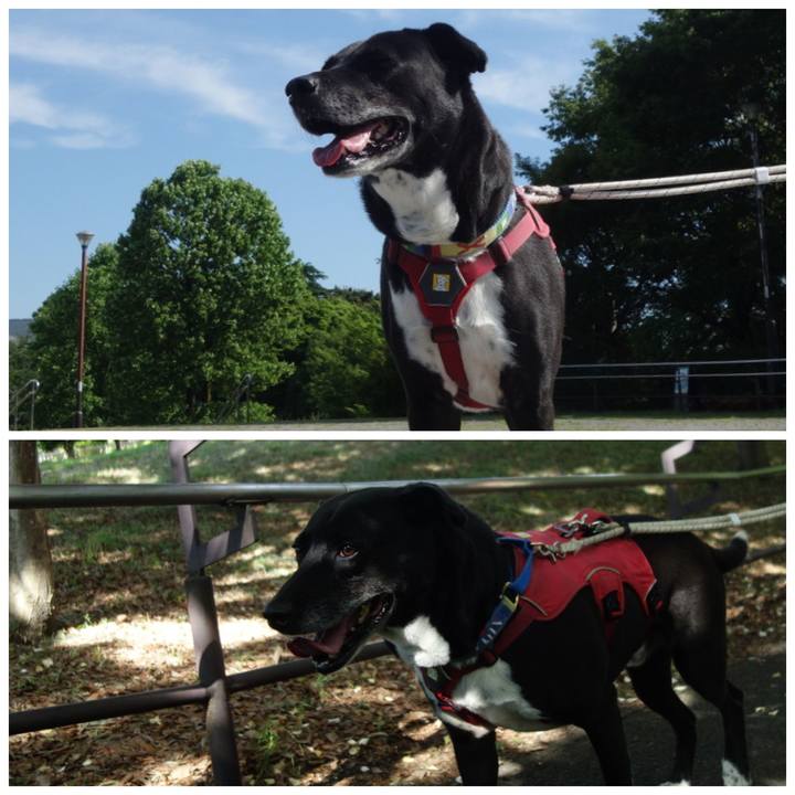 6862bcfa 0976 4395 8a01 2fde9a667db7 1685839304712