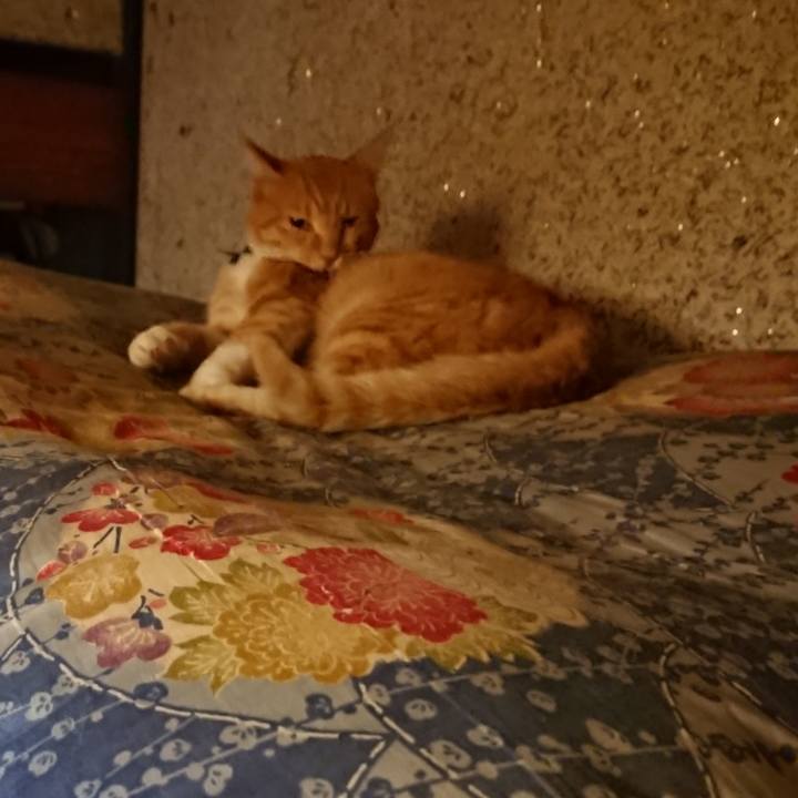 68631ca0 ec9f 4994 8c09 e752863a0cfe 1599827058811