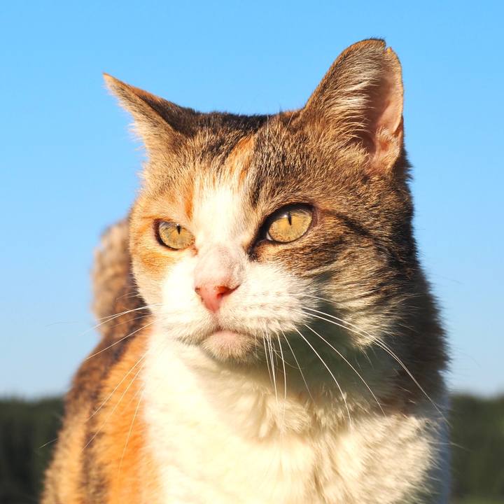 68631f84 e05c 4e31 815d f76aff9f41fc 1765710191569