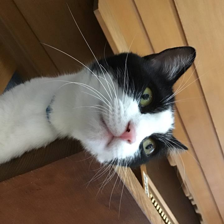 68633265 7638 4242 9d08 d278a350f42f 1692096065278