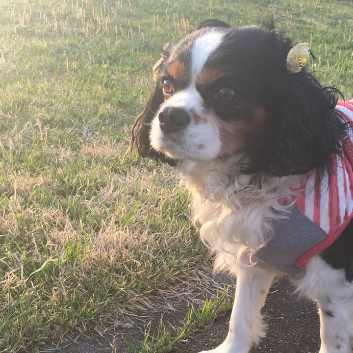 68636673 debe 4ece 9722 94236245aa58 1524478459457