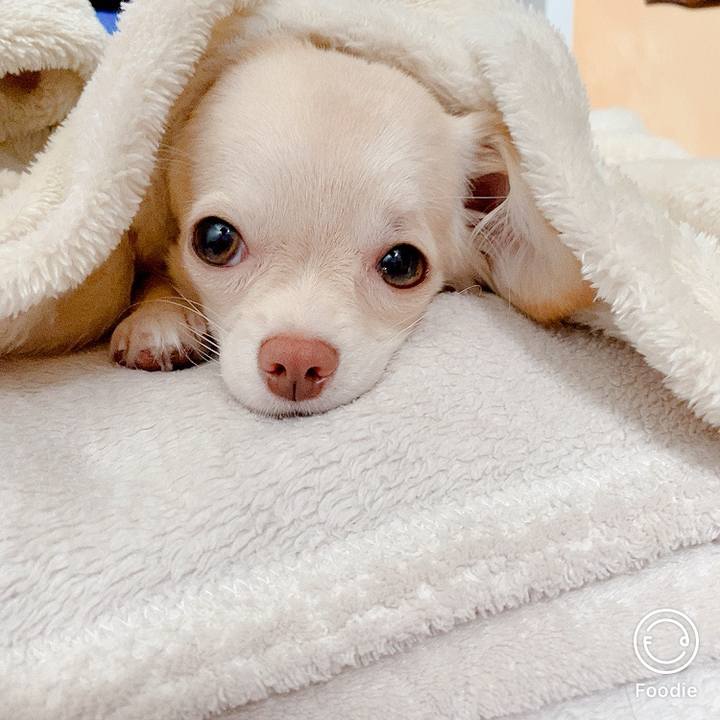 686383f8 1c2d 48ad b1d0 8699857c0306 1600926964040