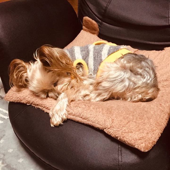 6863aa4e e852 4133 b2f9 fa3145b93921 1540421535253