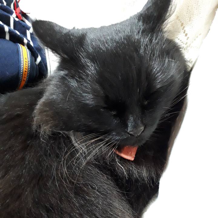 6863aa7f c60f 498d 80bc 1805841e7dc6 1521229771723