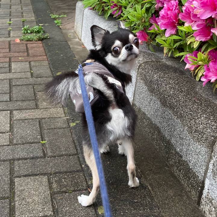 6863d7ff a8be 4718 becd 510d3fe59237 1682867898865