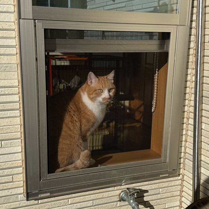 6863e5e9 0fb9 4d14 bf04 ed59ebda7582 1766890583030