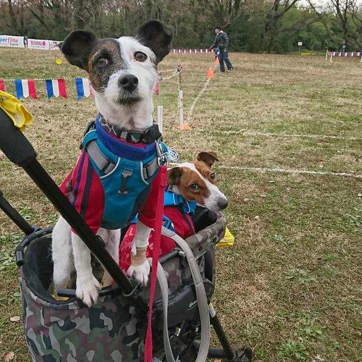 6863ee6b 75bb 4e44 9d6b 08fee4ff22df 1544960369233