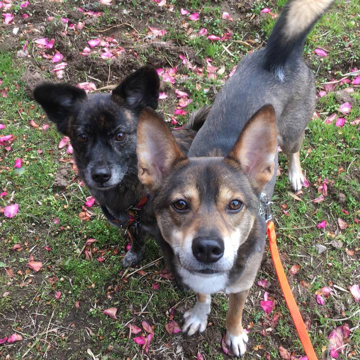 68640def f654 4676 ba63 00707a88e31f 1516341851750