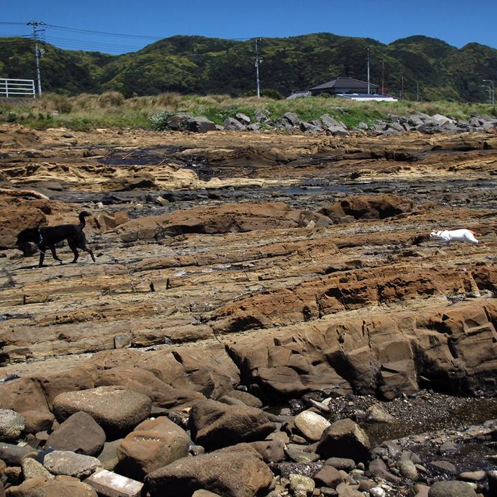 686440fe ac2e 4dac 88ca 095f4ed18712 1564287034939