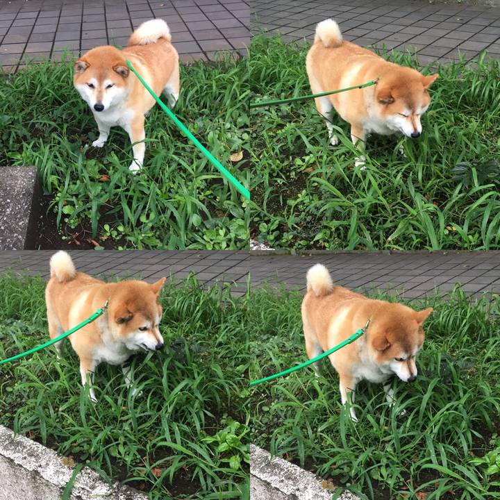 68645afb a6be 46e4 8da9 815da153f094 1600819434992