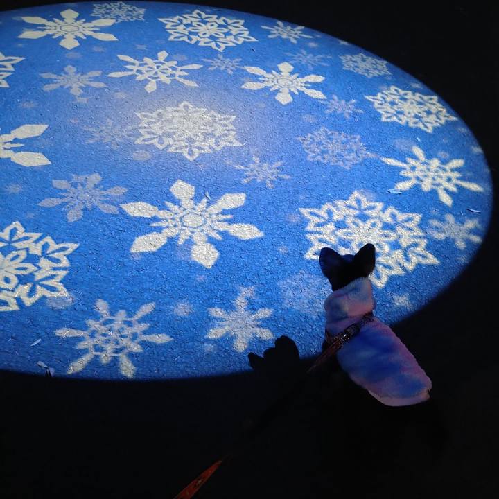 68645e4d cbb5 482c 9d96 04505b67719e 1734601759044