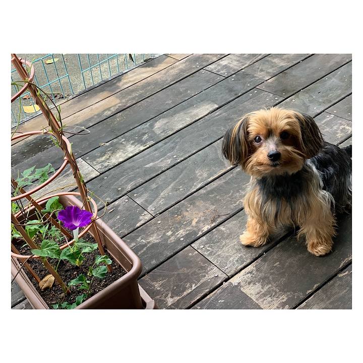 68645ec3 7a34 4bf4 a6d6 3084c1e1a1b7 1568758061212