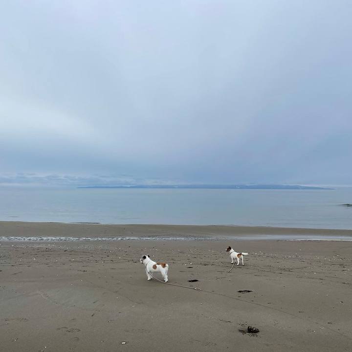 6864776a 6261 480b 9763 e65dc7770063 1643177349291