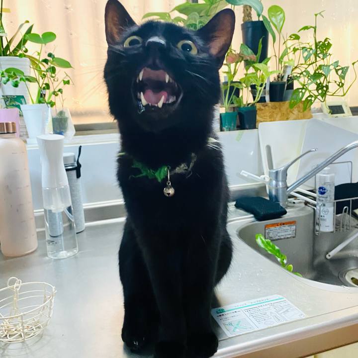 6864c582 bb9d 4df3 ad8a aa900ea164f2 1722737184876