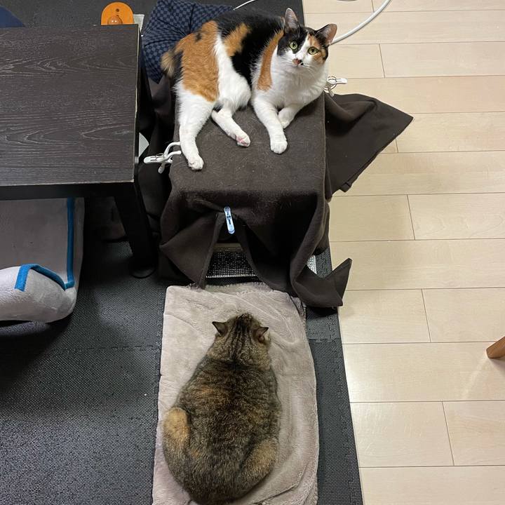 6864c74a 6da7 4d95 a39e 1ebc7e9a8b6f 1610326368058