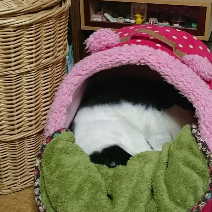 6864ca49 e586 4005 bd4e 32ae1a45d591 1525869868933