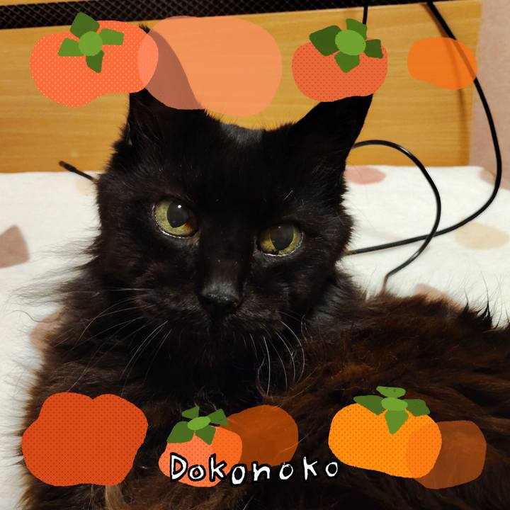 6864caad 61f0 4860 a8bf baea32d62eb6 1761495446874