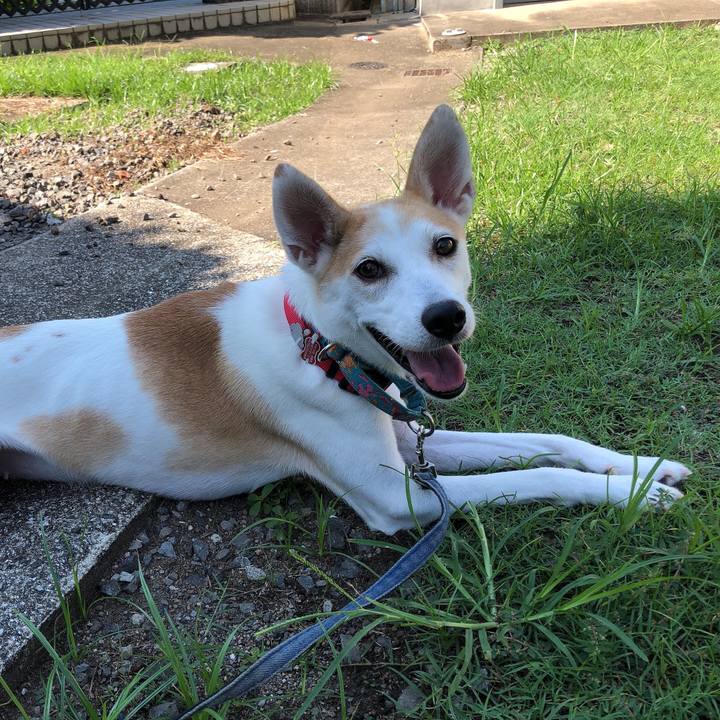 6864cd29 3cc5 4e04 8167 9ce6c96b3b00 1598847741517